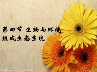 《生态系统》课件