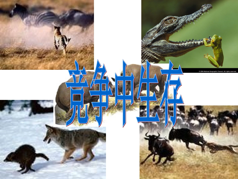 竞争？合作？课改_第1页