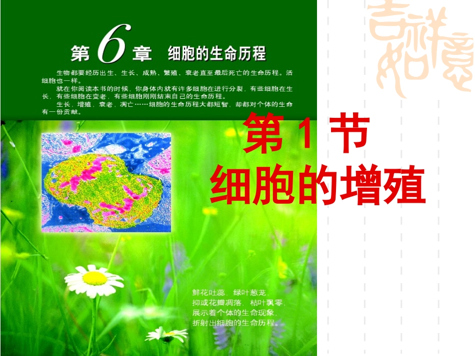 细胞增殖,第一课时_第2页