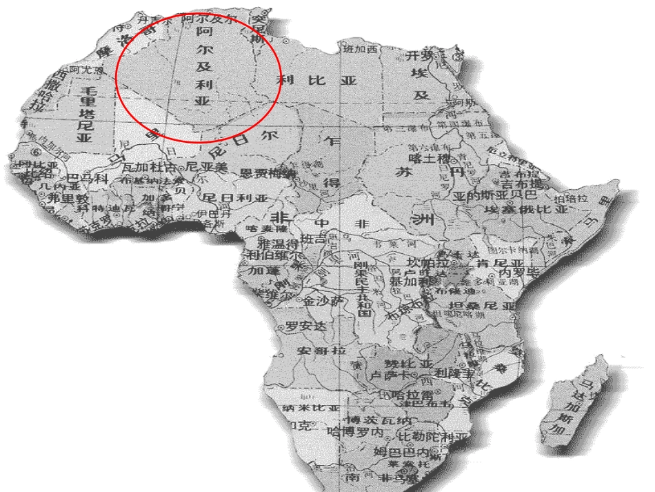 龙兰28中国国际救援队_真棒_第3页