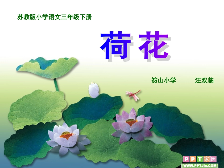 我的荷花课件_第1页