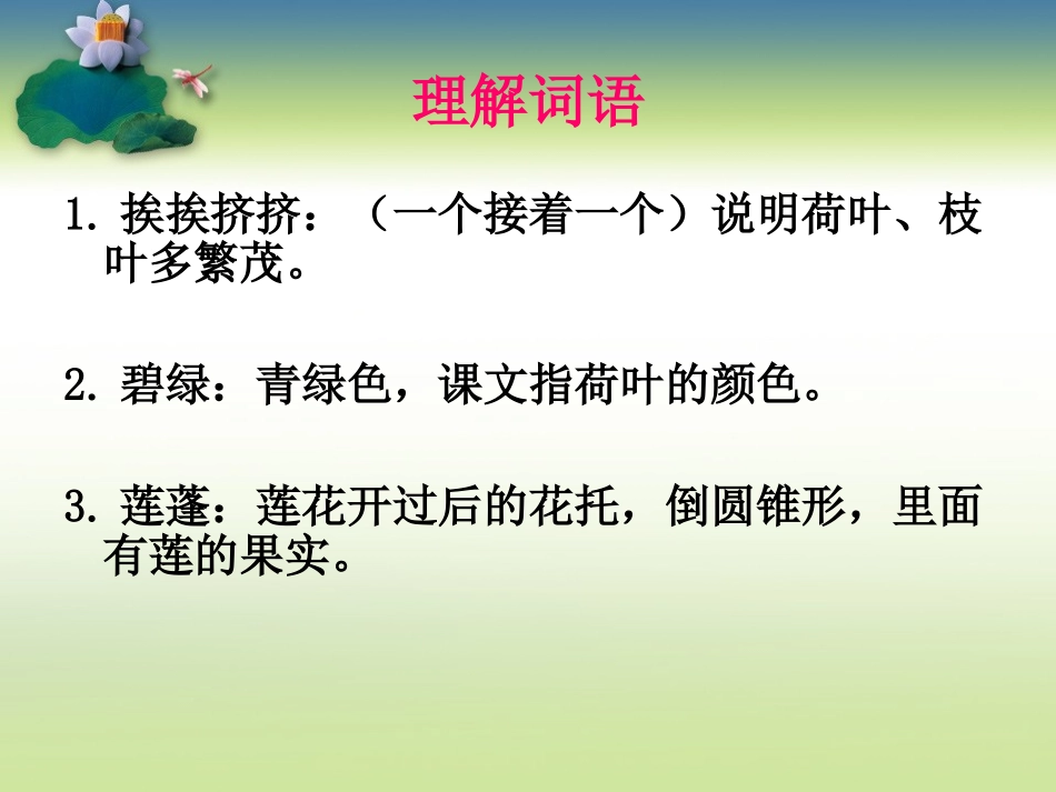 我的荷花课件_第3页