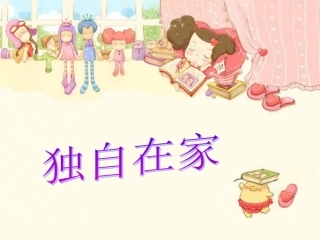 独自在家课件