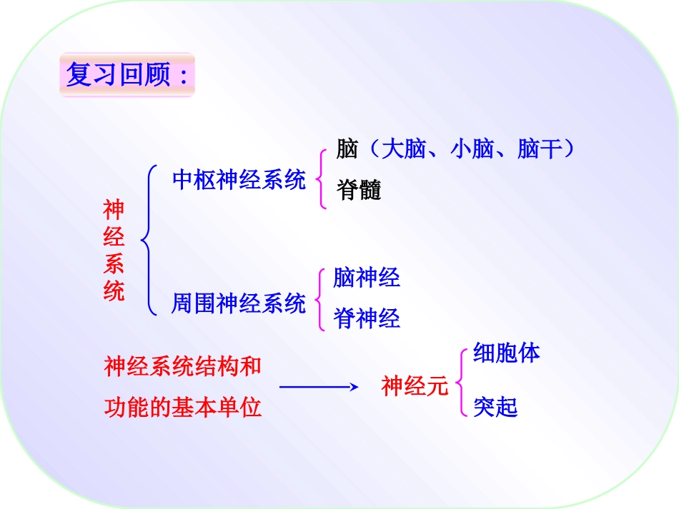 神经调节的基本方式（修改）_第2页