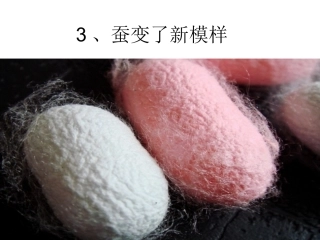 -蚕变了新模样(好用)
