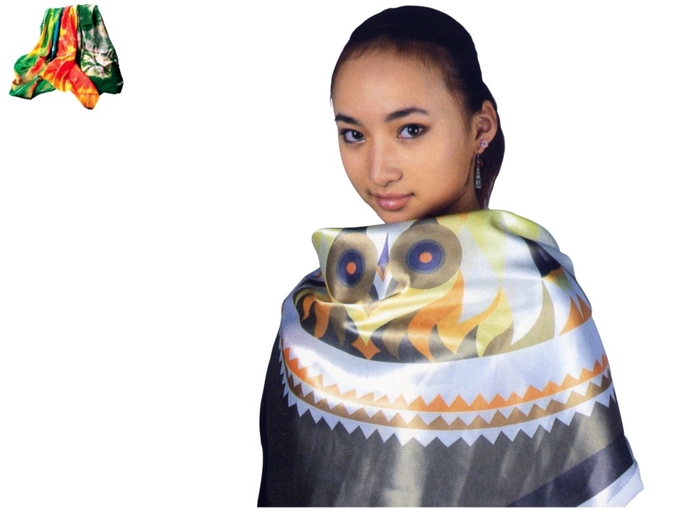 第13课美丽的丝巾_第2页