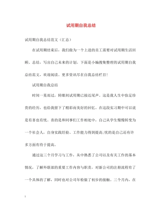试用期自我总结