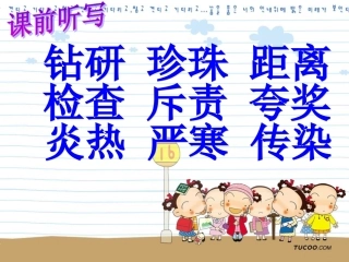 二下语文第八单元新复习课件