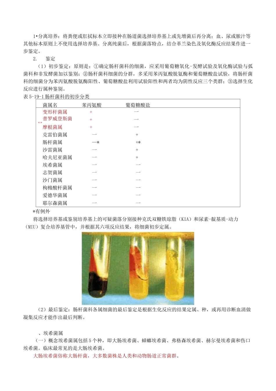 微生物检验肠杆菌科及检验_第2页