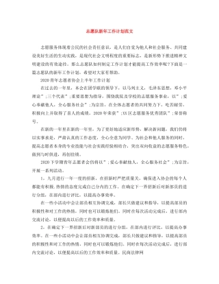 志愿队新年工作计划范文 