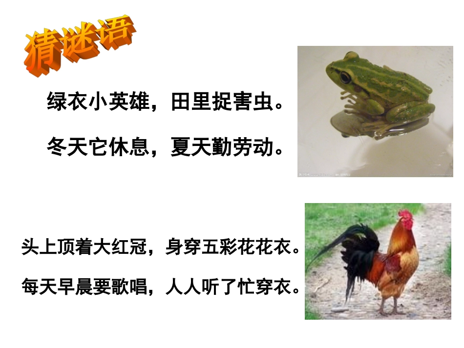 我喜欢的动物(1)_第2页