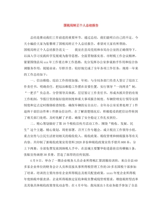 国税局转正个人总结报告