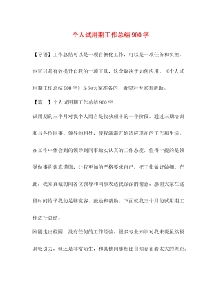 个人试用期工作总结900字