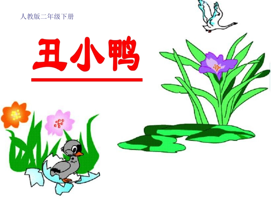 张丽霞，丑小鸭1_第2页