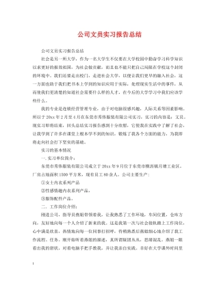 公司文员实习报告总结2