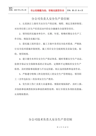 安全生产责任制、操作规程