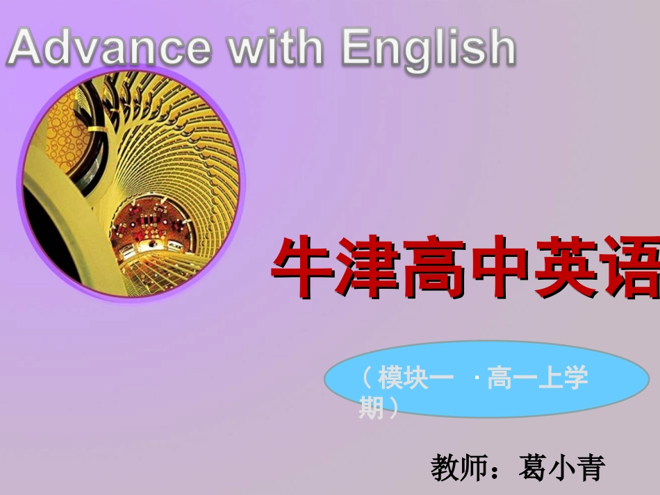 公开课课件HOMEALONE_第1页