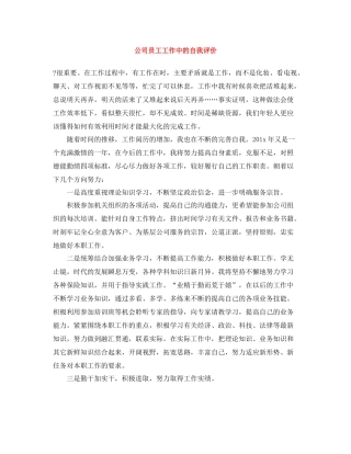 公司员工工作中的自我评价