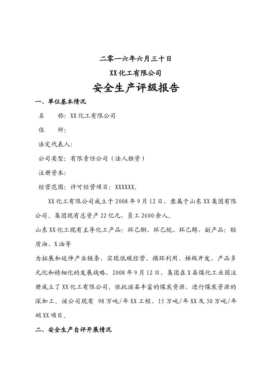 安全生产评级报告_第2页