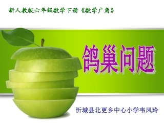 六年级数学下册第五单元数学广角1