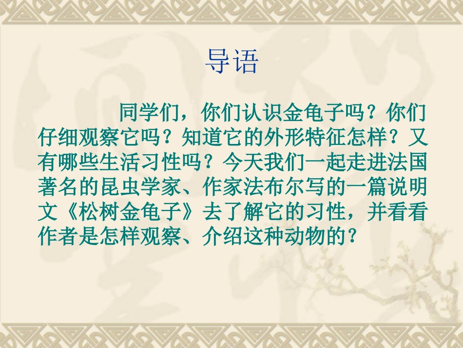 苏教版七年级下册《松树金龟子》课件33333_第1页