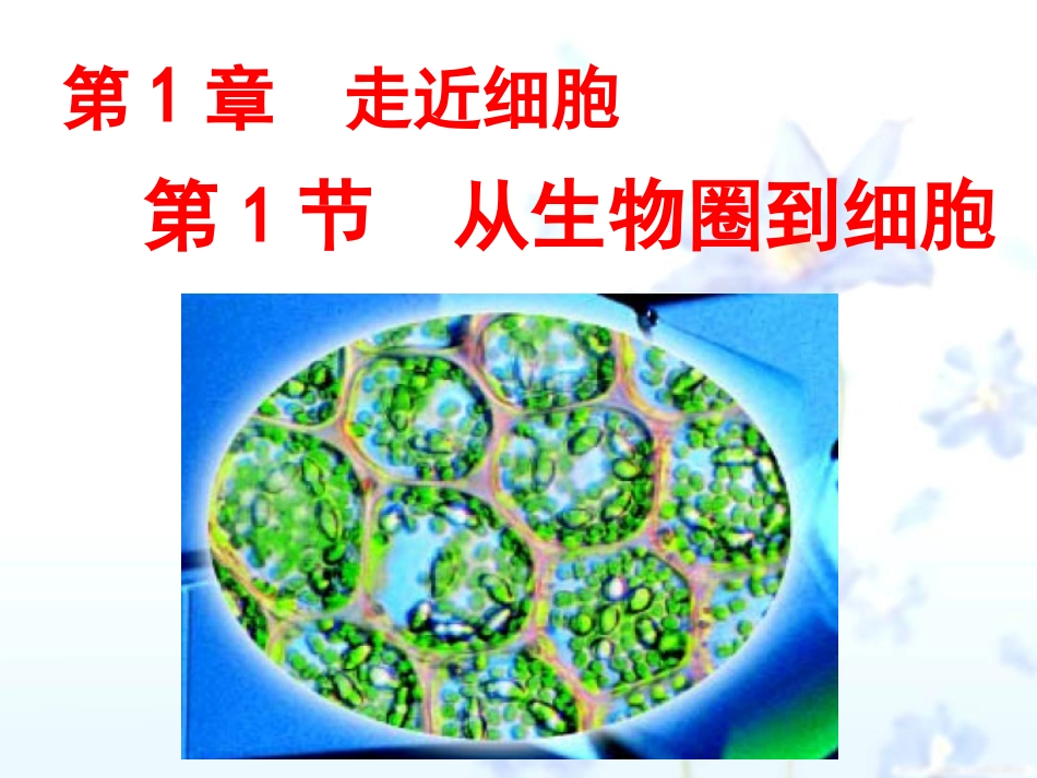 从生物圈到细胞_第1页