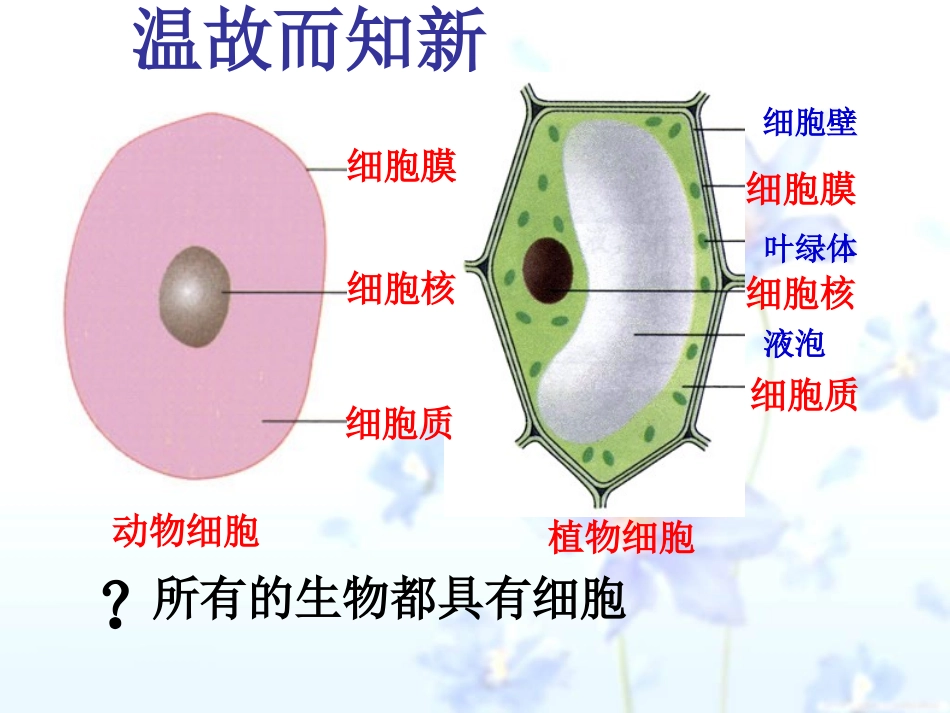 从生物圈到细胞_第2页