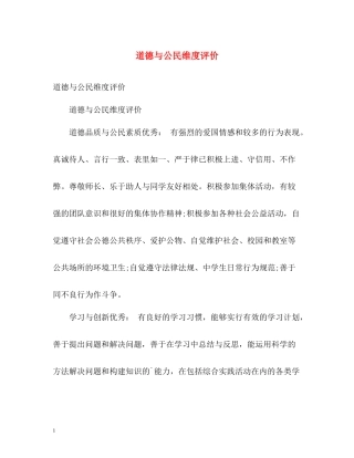 道德与公民维度评价