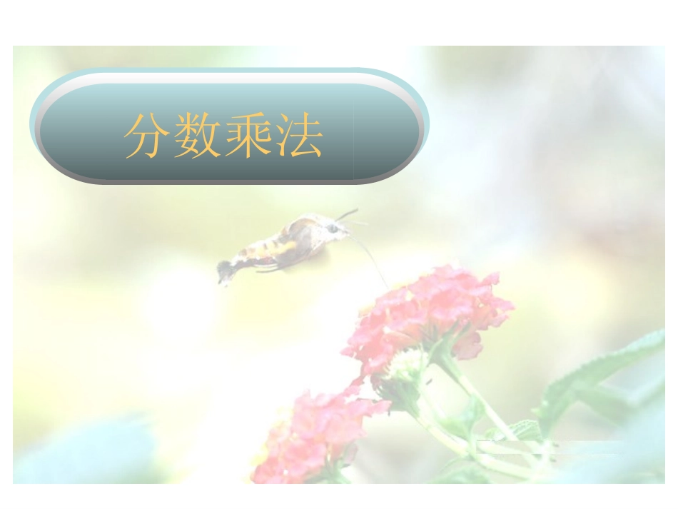 分数乘法三10_第1页