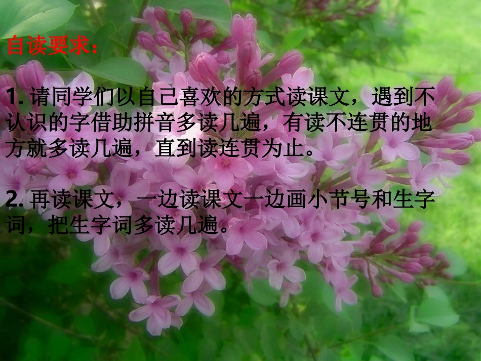 《一株紫丁香》PPT课件_第3页
