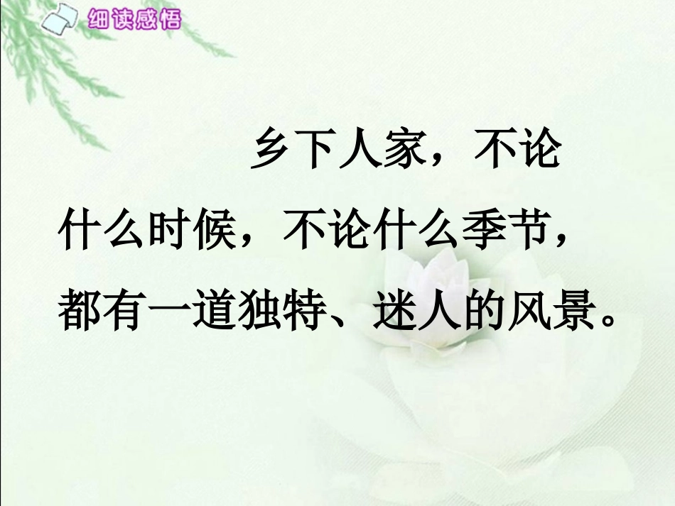 《乡下人家1》PPT课件_第3页