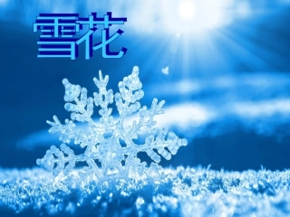 雪花剪纸 (2)
