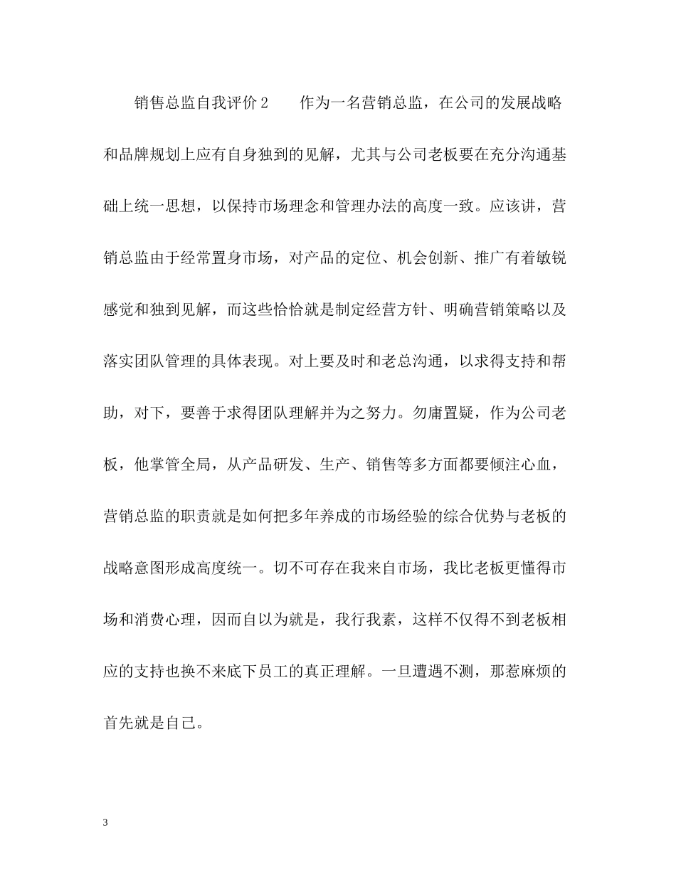 销售总监自我评价_第3页