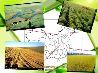 第一节农业的区位选择