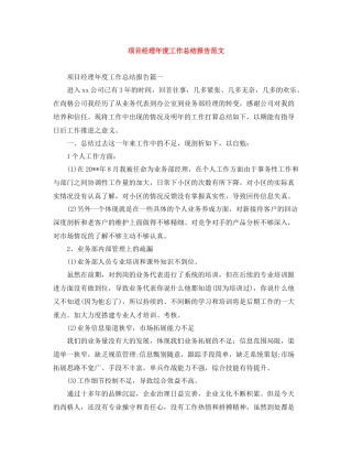 项目经理年度工作总结报告范文