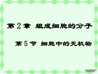 细胞中的无机物