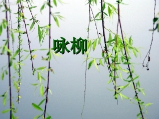 咏柳(2)课件