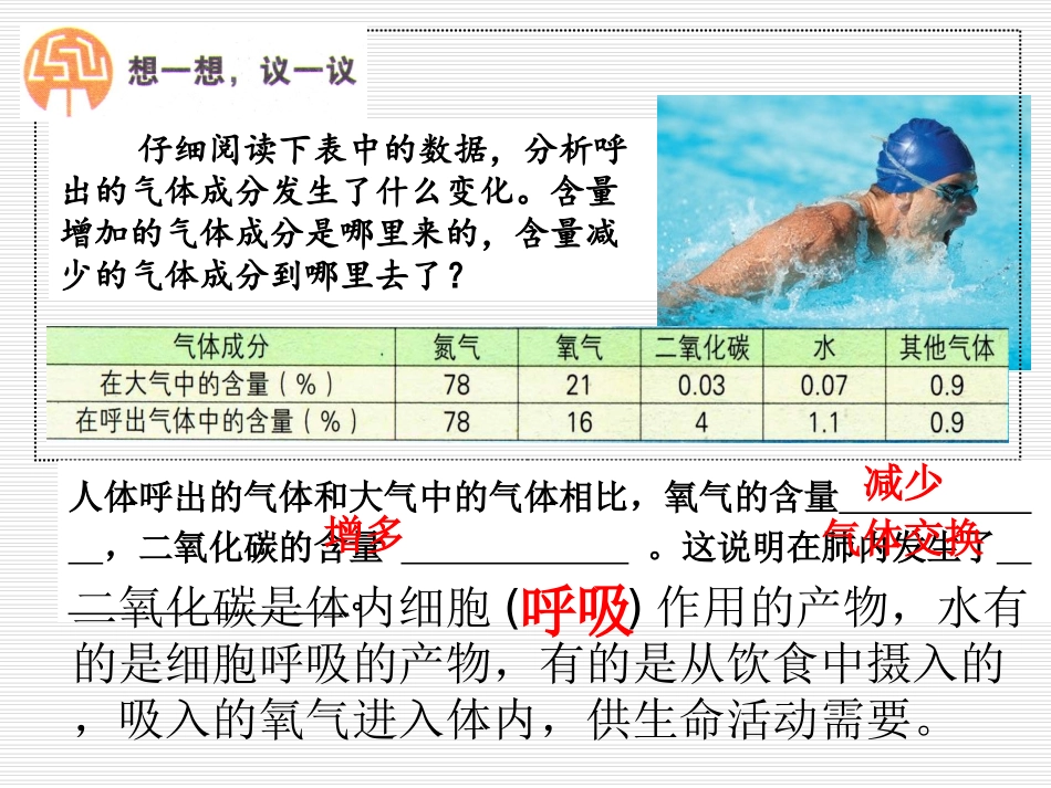 七下32《发生在肺内的气体交换》-公开课_第3页
