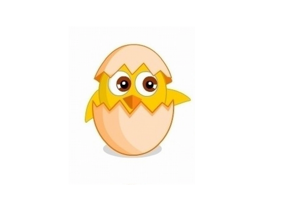 母鸡孵蛋课件_第2页