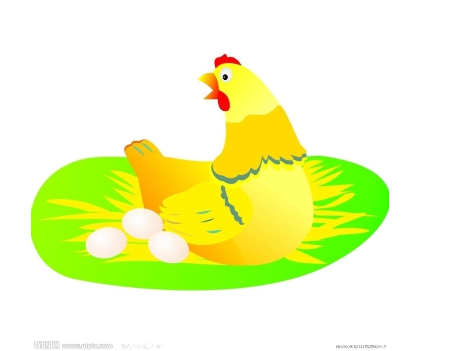 母鸡孵蛋课件_第3页