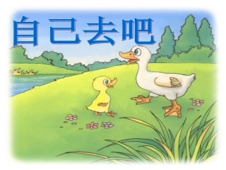 自己去吧1课件