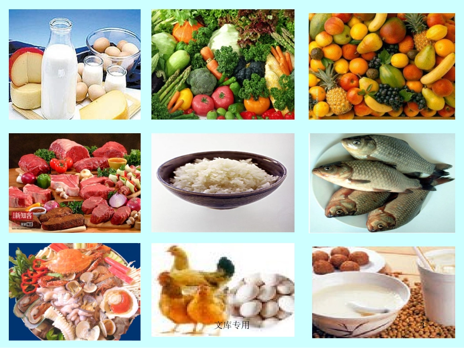 第二章第一节食物中的营养_第3页