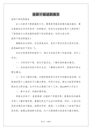 挂职干部述职报告