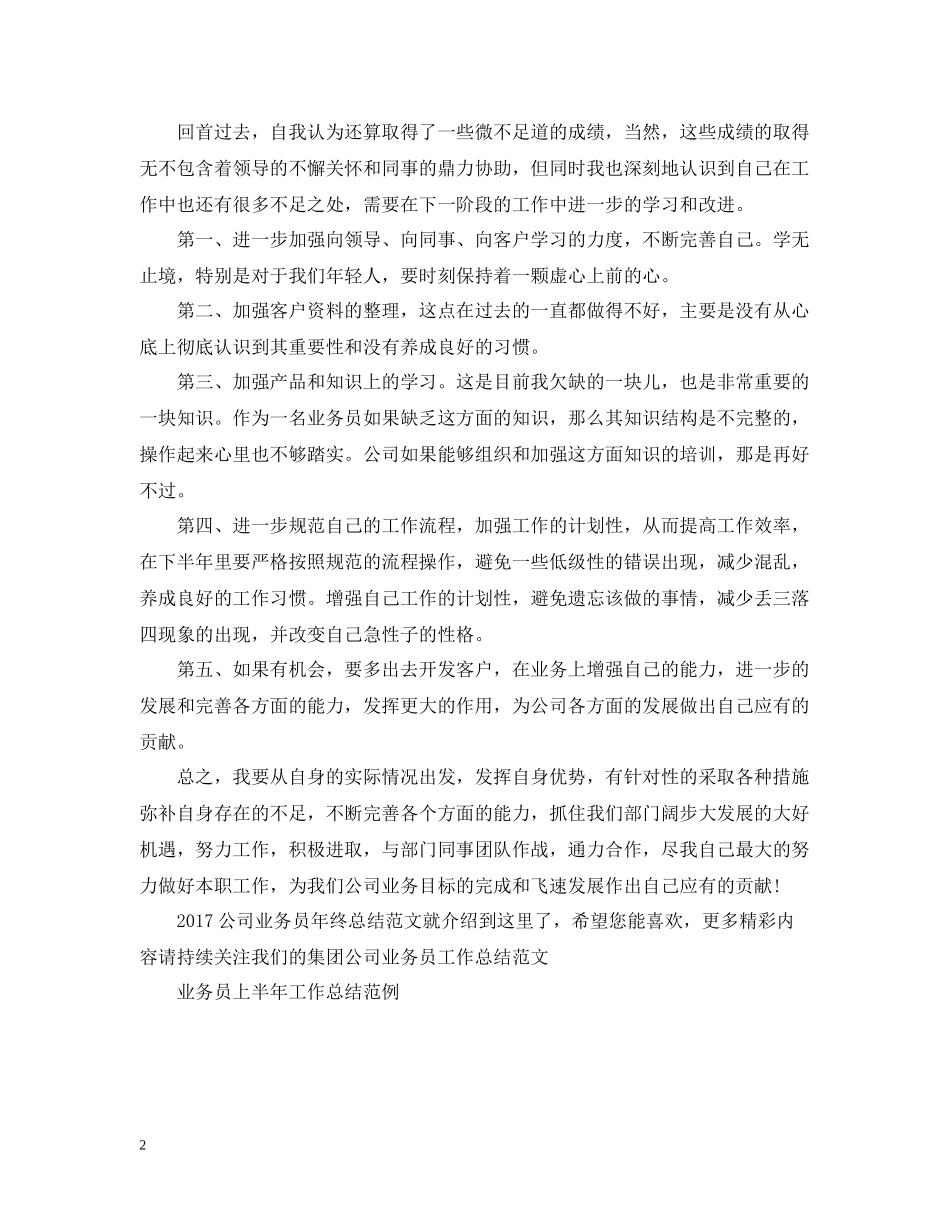 公司业务员年终总结范文2_第2页