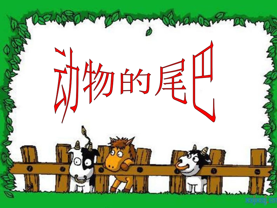 动物的尾巴幻灯片_第1页