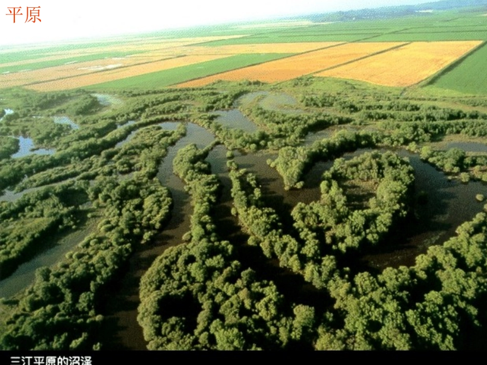 苏教版小学科学三年级下册《土壤的保护》PPT（2）_第3页