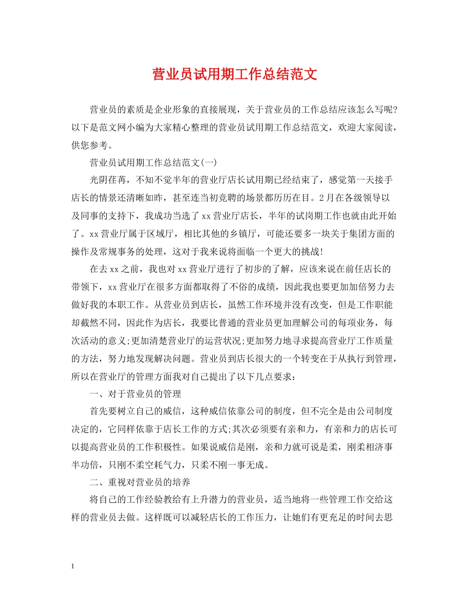 营业员试用期工作总结范文2_第1页