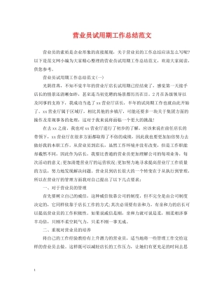 营业员试用期工作总结范文2