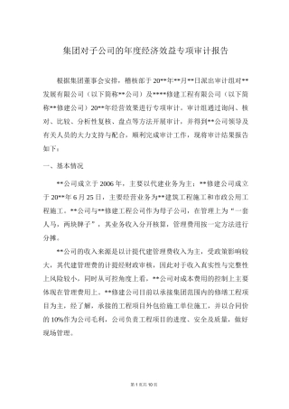 经济效益审计范例-2-集团对子公司的年度经济效益专项审计报告模板