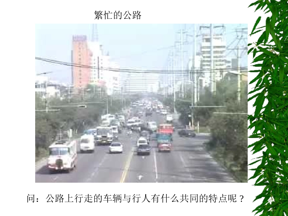 苏教版小学科学四年级下册《运动的快慢》课件_第3页